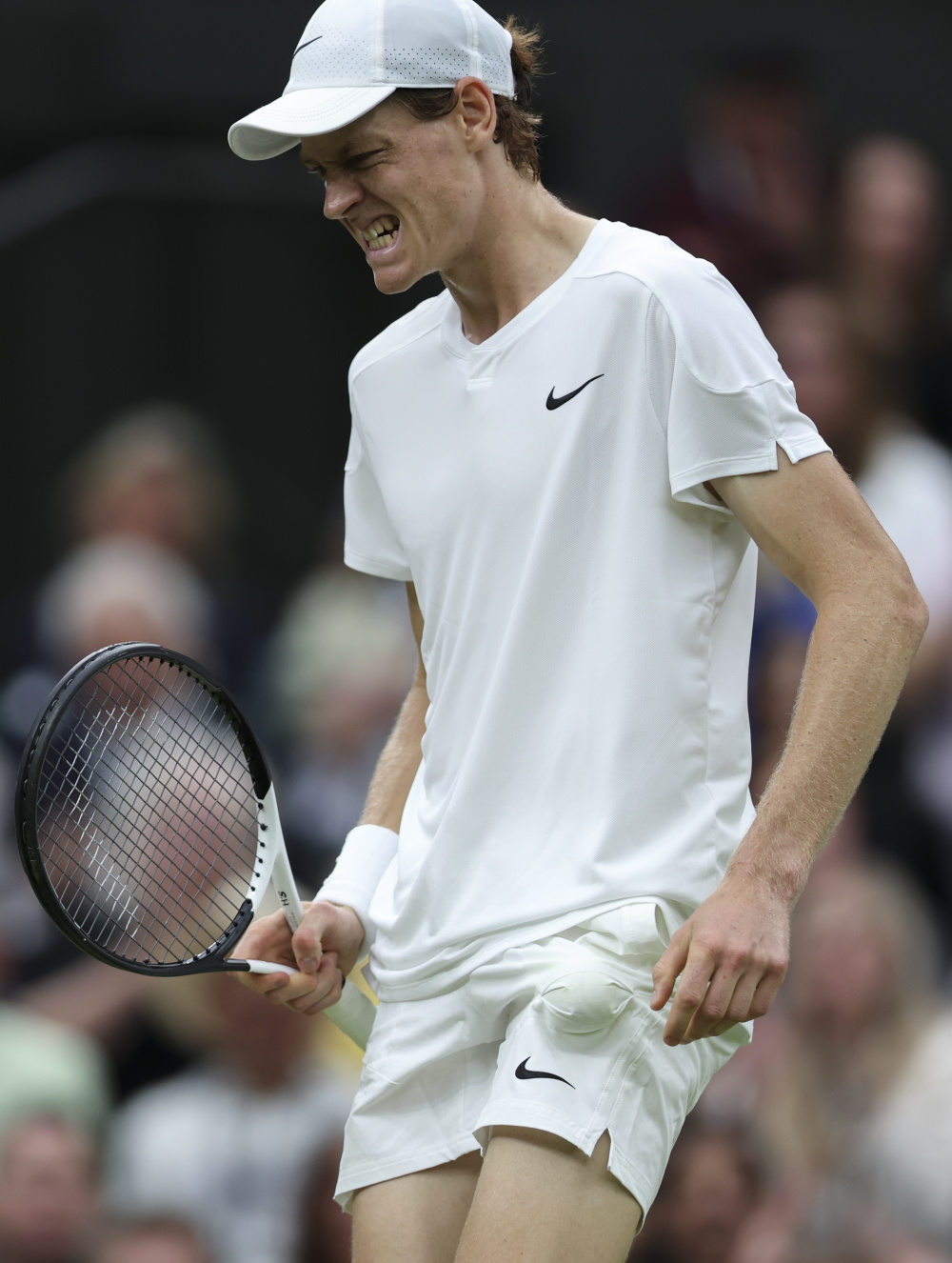 迅速崛起 迅速崛起